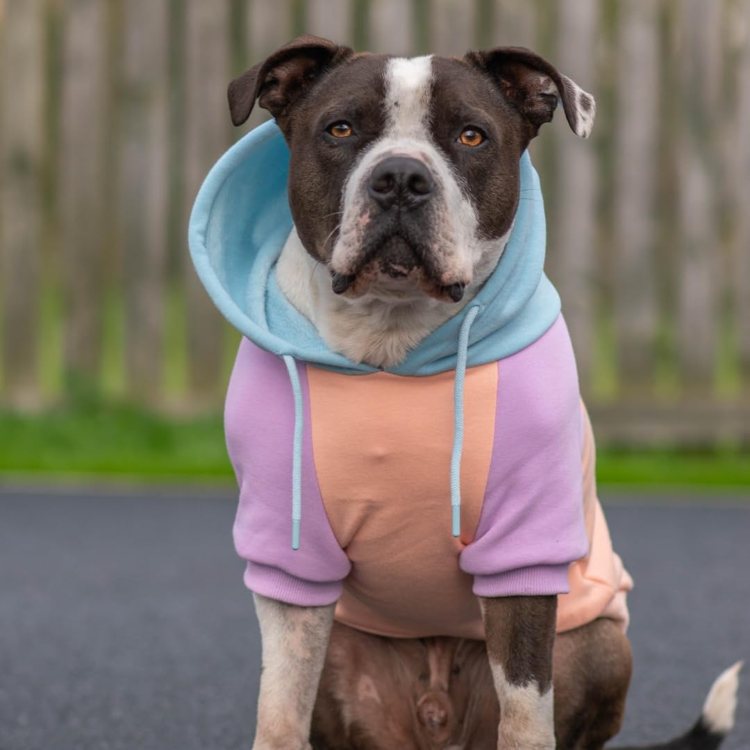 Spark Paws Hunde Kapuzenpullover – Premium-Qualität, butterweich, hervorragender Komfort und Passform, beruhigende Fleece-Innenseite, geeignet für alle Rassen - Cotton Candy - 2XL