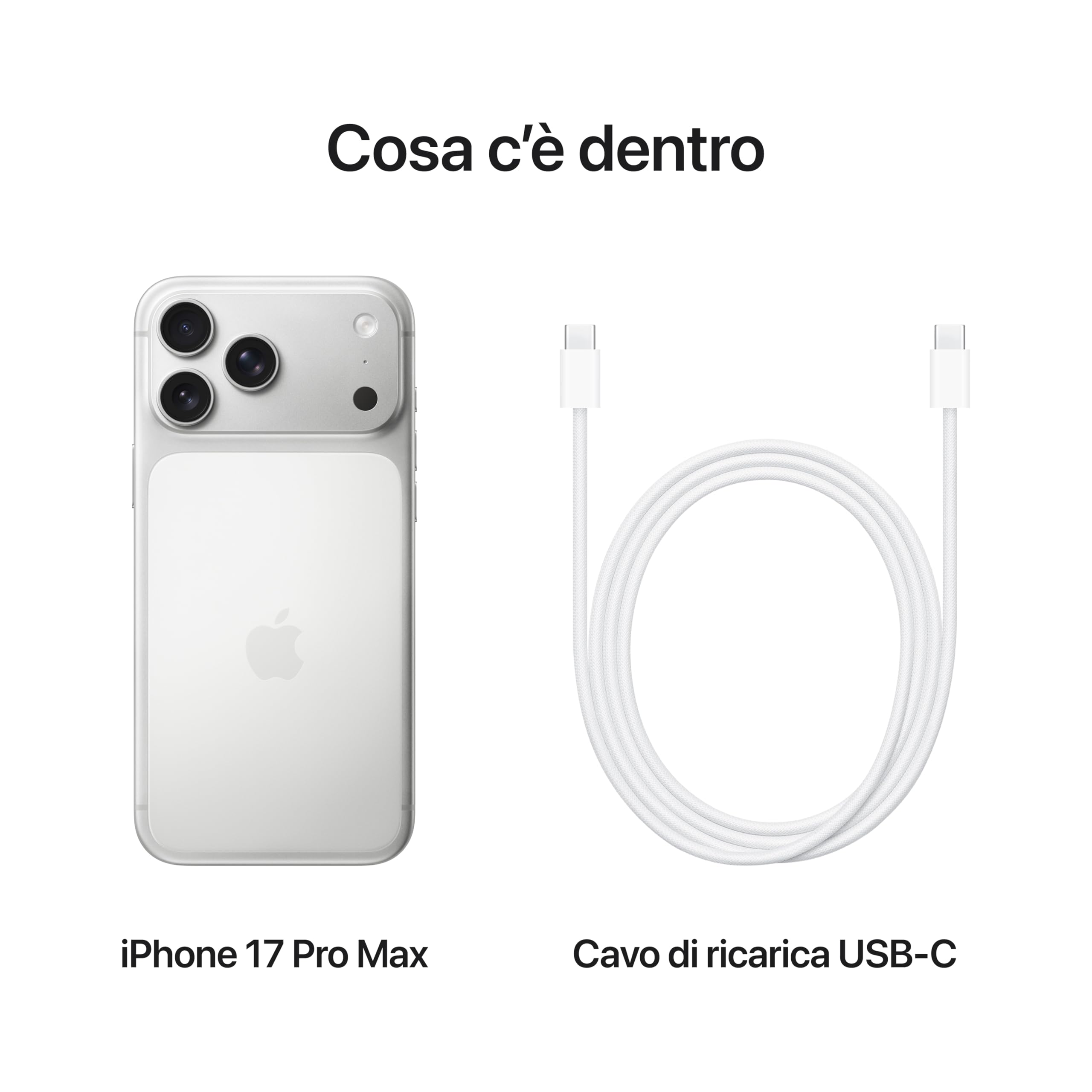 Apple iPhone 17 Pro Max 256 GB: display 6,9", ProMotion fino a 120Hz, chip A19 Pro, autonomia mai vista su iPhone, sistema di fotocamere Pro Fusion, fotocamera frontale Center Stage; Argento