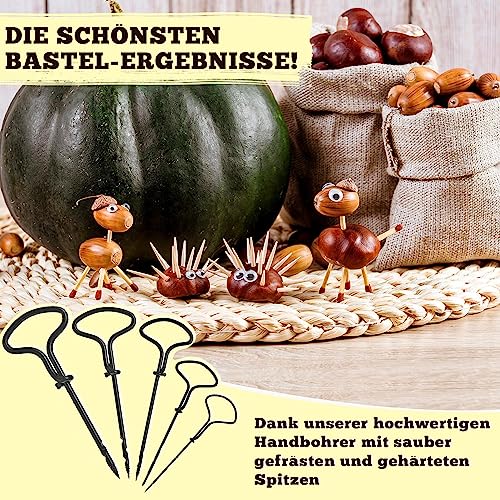 ECtury 346-tlg Kastanienbohrer kinder Set, 1.5-5mm Bastelset Herbst – Ansicht 6