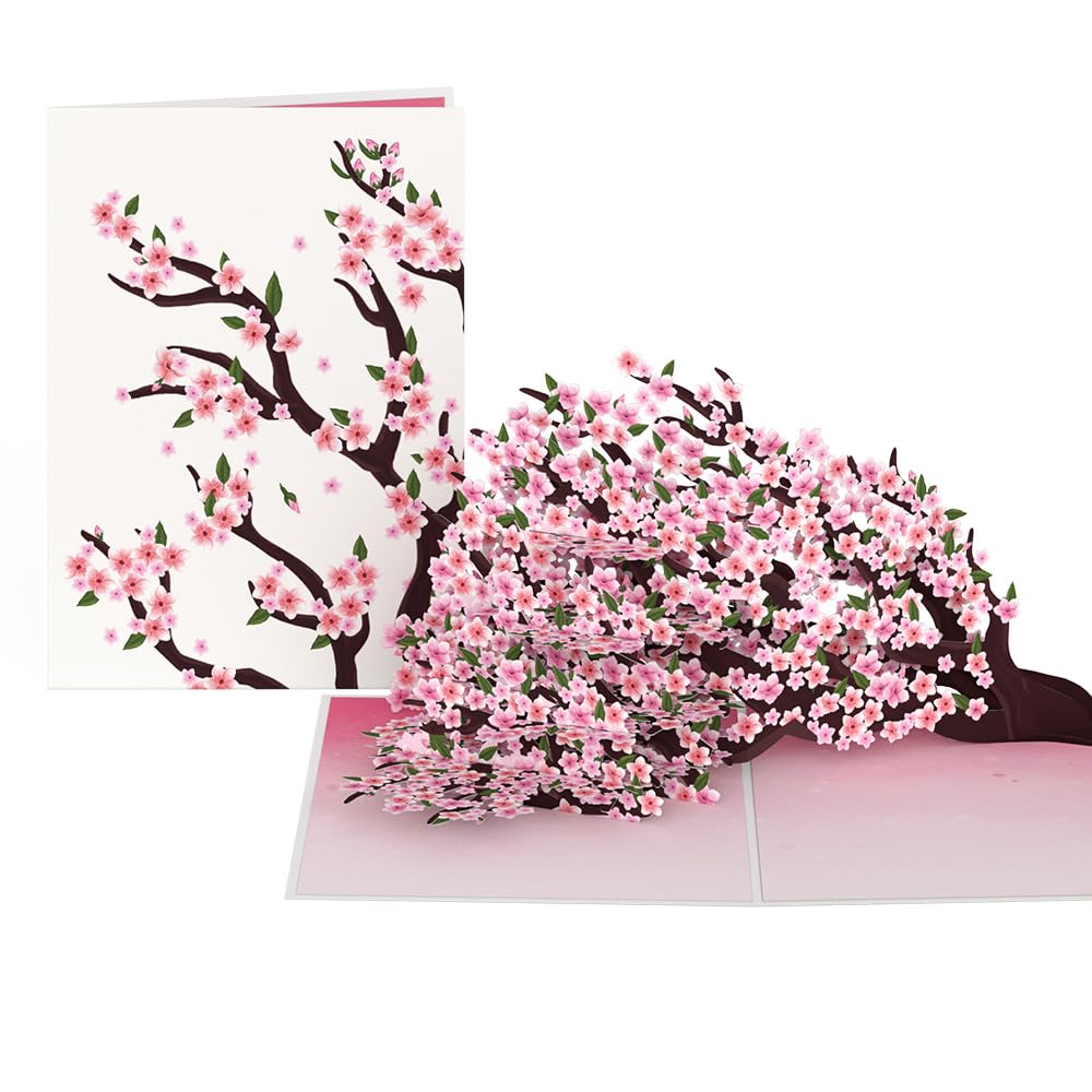 Lovepop Everyday Pop-Up Card for Her and Him - 3D Spring Greeting Cards for Boys, Girls, Men, Women - Cherry Blossom Branches - 5" x 7" Flower Card - Blank Note Card & Envelope Included
