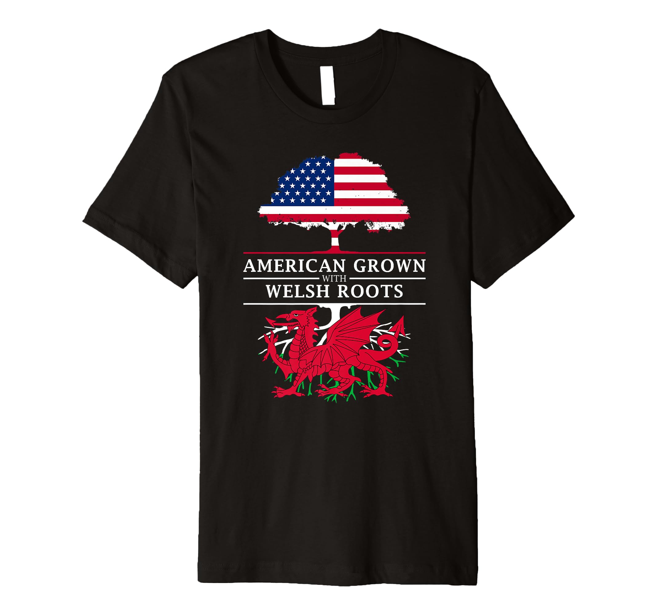 American Grown with Welsh Roots - Wales Premium T-Shirt Small