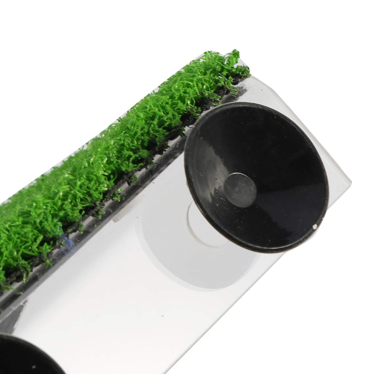 Piattaforma Per Tartarughe Con Ventose - Tappeto Erboso, Per Acquari 60-100cm - Foto 6