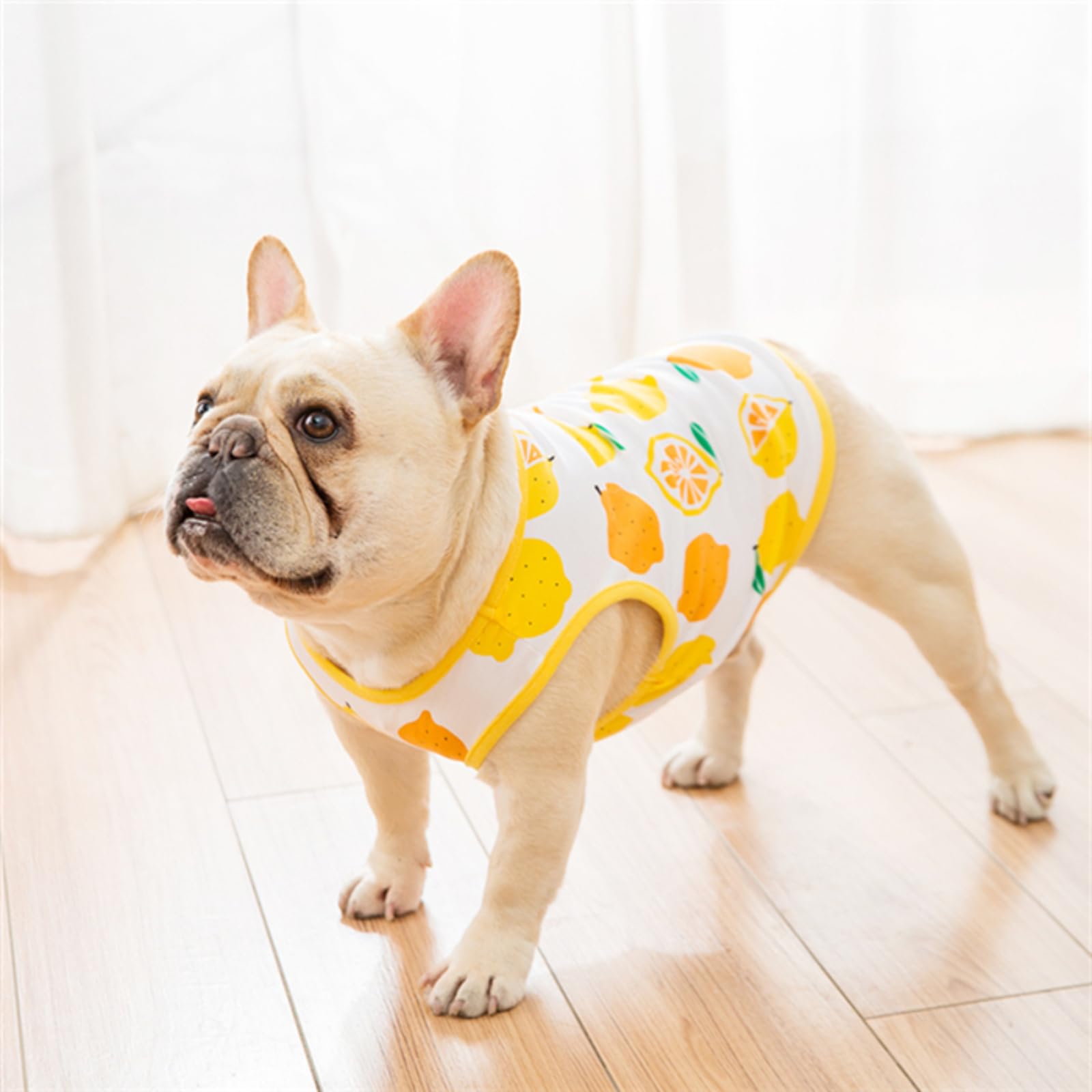 Amazon | 【24HOURS】フレブル タンクトップ レモン フレンチ