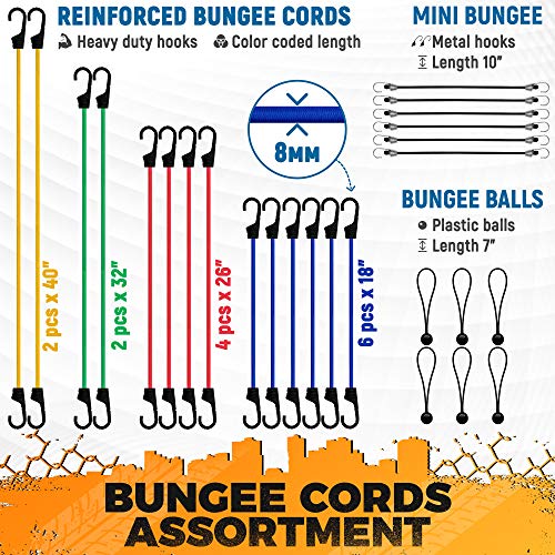 Vehiclex Bungee Cords & Cam Buckle Straps, 32 PCS Tie-Downs Assortment – Multiple Sizes and Uses – Mini Cords & Bungee Balls, Tarp Clips & A Handy Carrying Bag