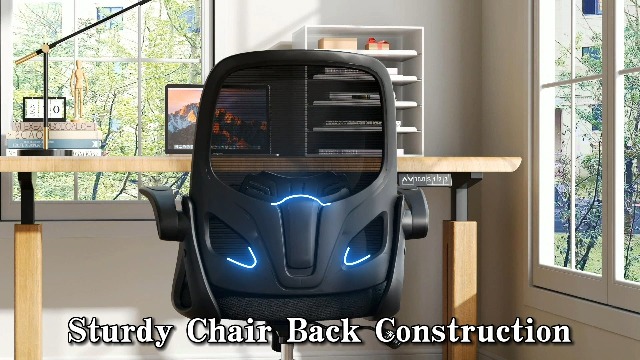 Amazon.com: Kensaker Home Desk Chair with Back Supportive Lumbar