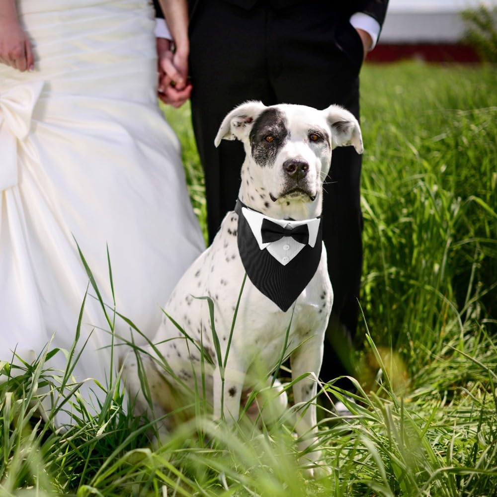 DONGKER Collare Smoking per Cani,Bandana Regolabile con Papillon per Cane di Piccola Media e Grande per Matrimonio Compleanno e San Valentino