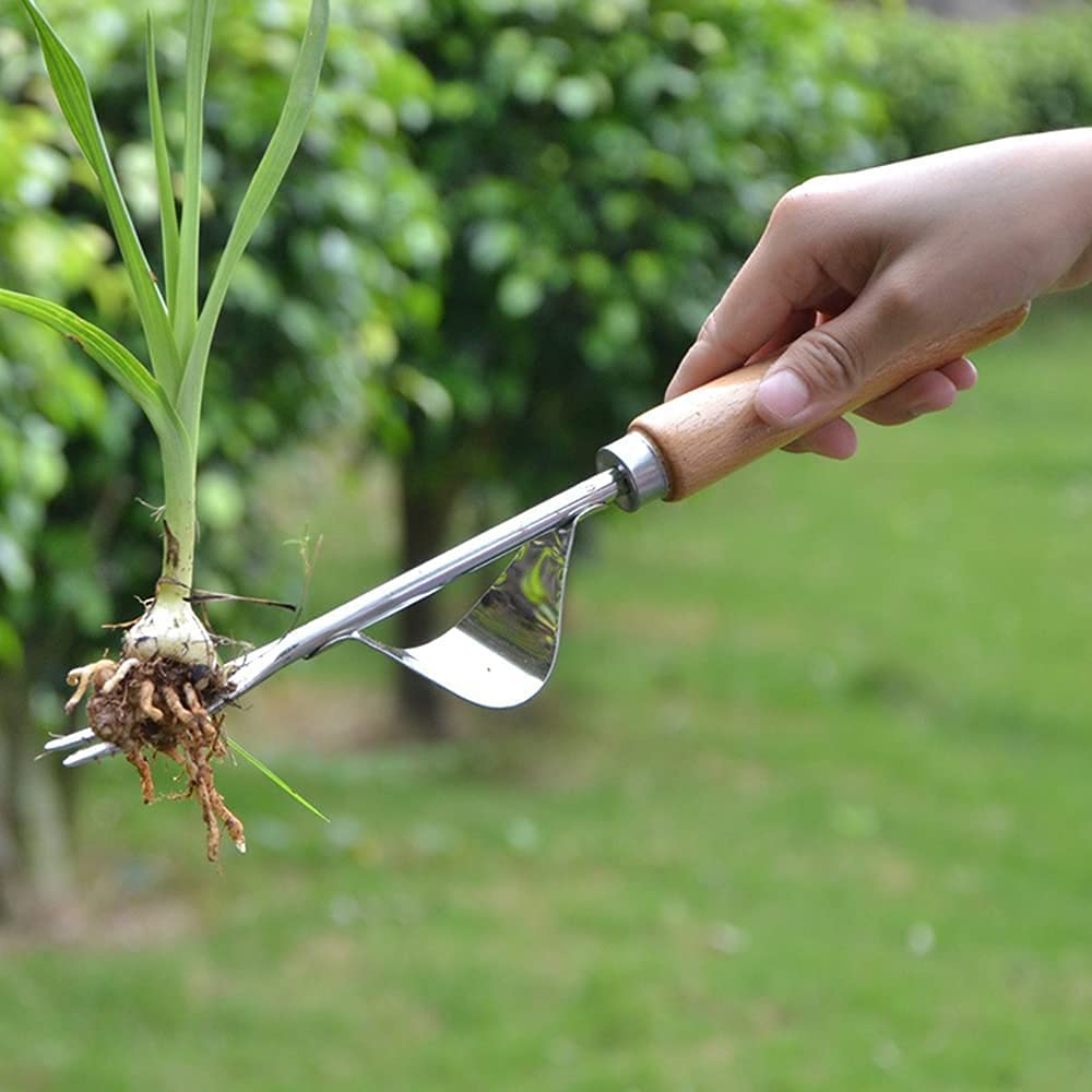 Désherbeur Manuel Toerjii En Acier Inoxydable Avec Poignée Bois - Outil Arrache Pissenlit, Gouge V Racines Profondes, Jardinage Efficace