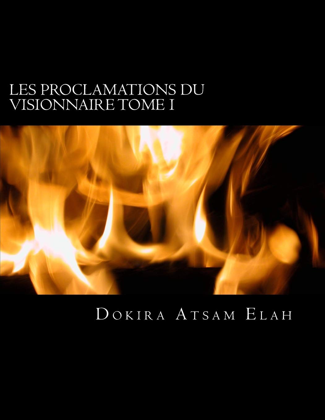 Les Proclamations du Visionnaire, Tome I.: La puissance de la proclamaion