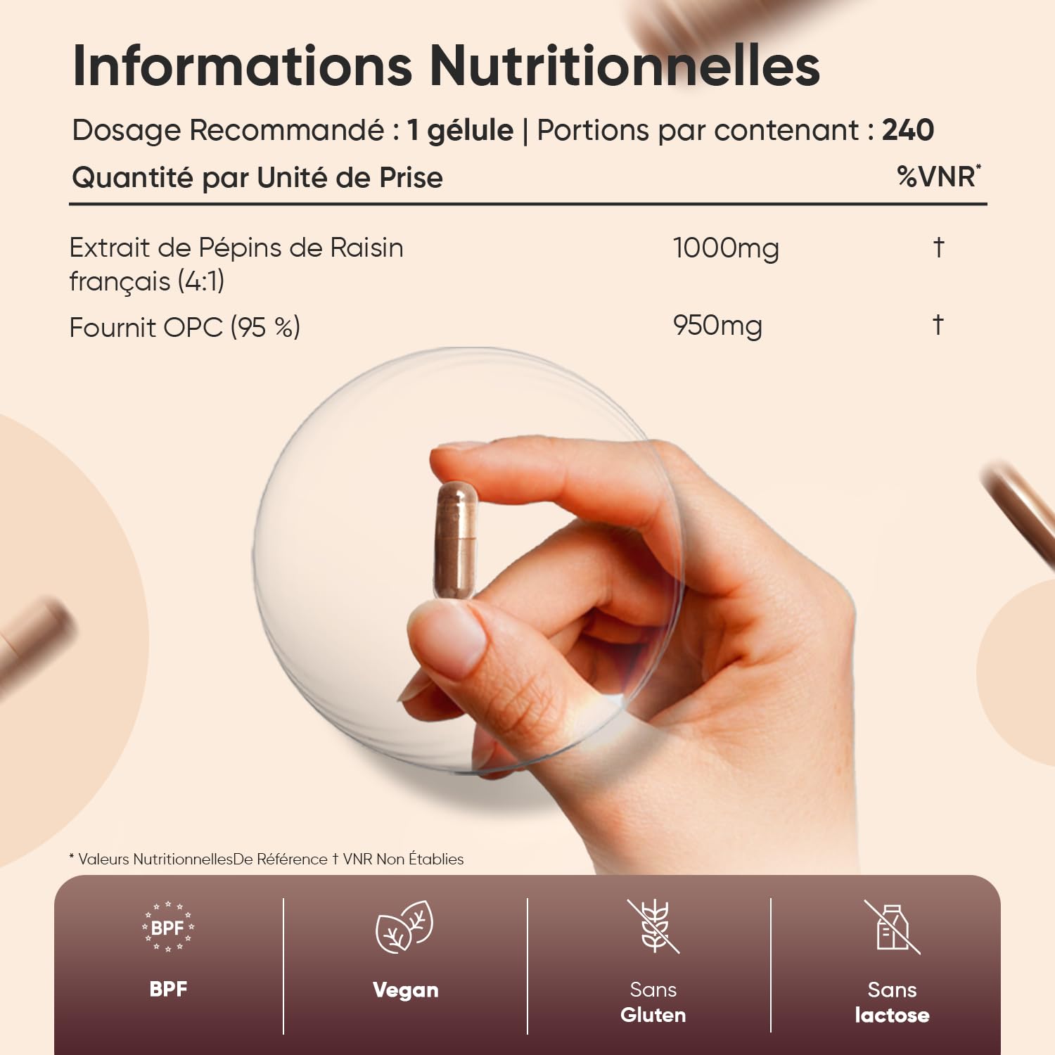 OPC Extrait de Pépins de Raisin Français (French Grapeseed Extract) - 240 Gélules Vegan pour 8 Mois d'Apport - 95% de Proanthocyanidines Oligomériques - Vitis Vinifera L. avec Polyphénols, sans OGM