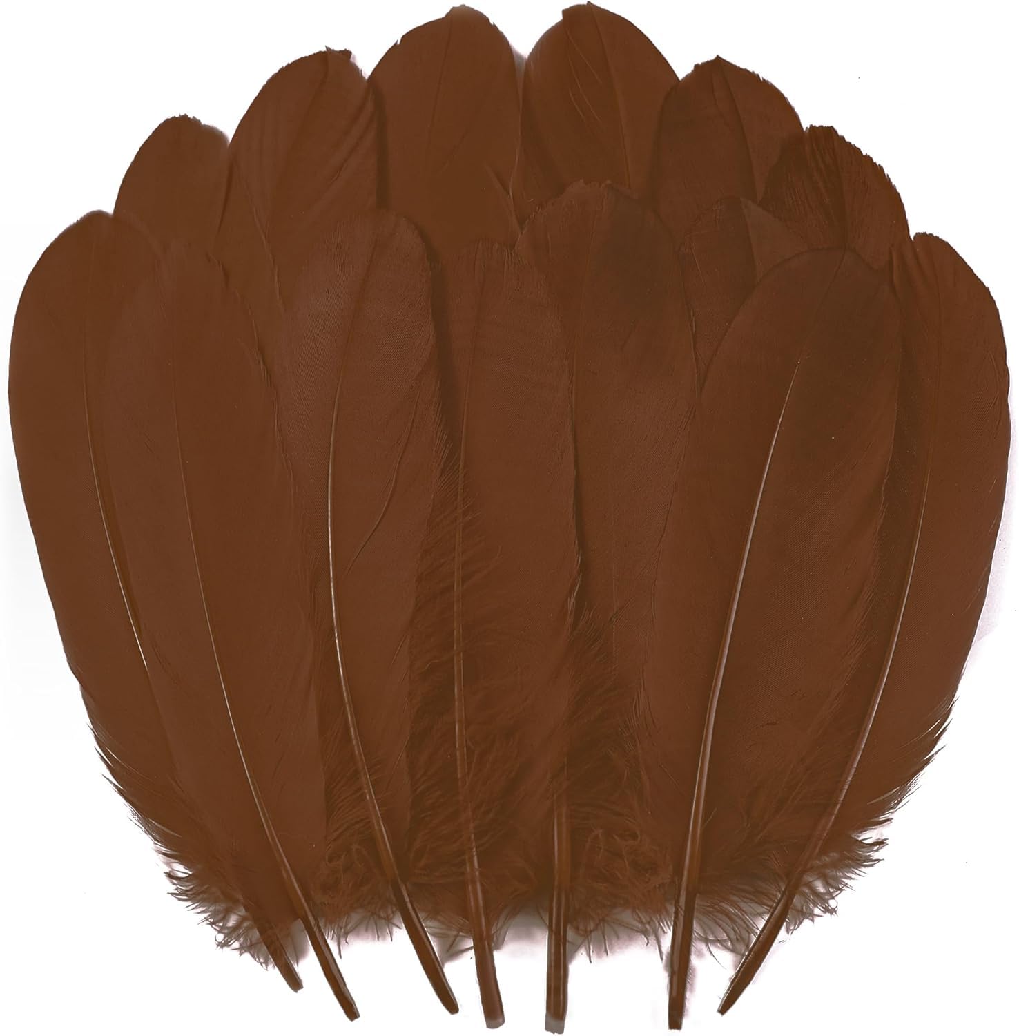 Amazon.com: Ballinger Brown Craft Feathers Bulk - 120Pcs 6-8inch