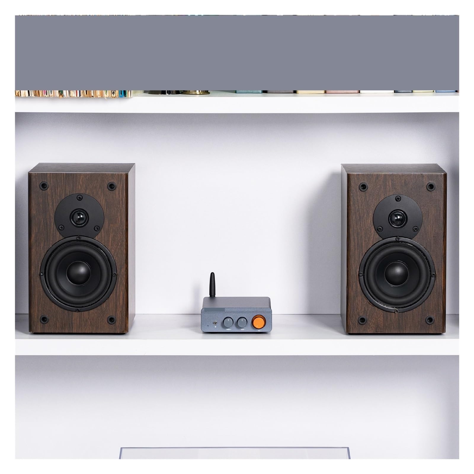 Amplificador de potencia de sonido Bluetooth 300W x2 Mini estéreo HiFi Clase D Amp graves agudos for cine en casa(48v)