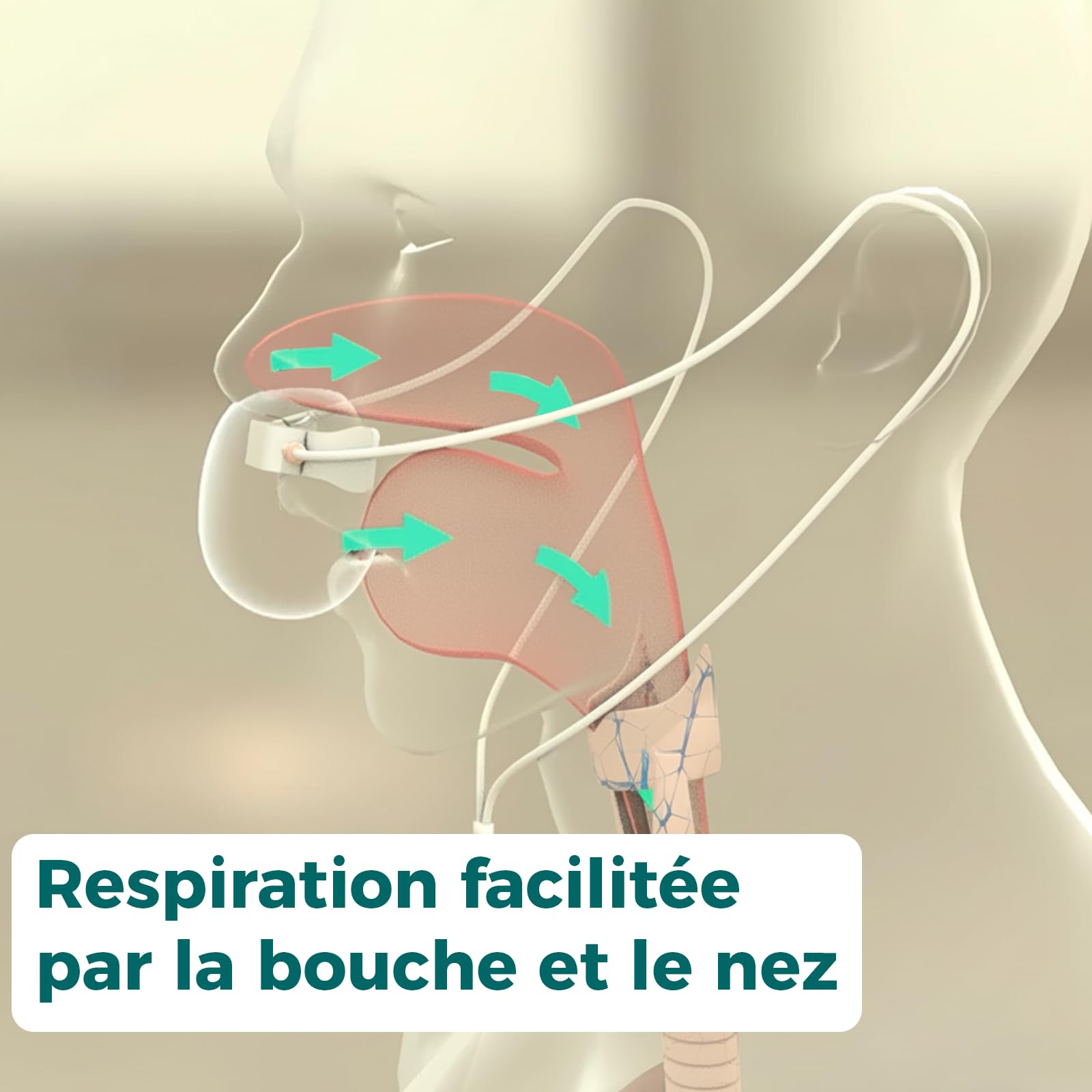 NasalOxy® – Lunettes nasales innovantes à faible débit | Plus de confort & d’efficacité | BPCO & asthme | Respiration double & apport optimal en oxygène | 2 pce - Pour commandes de test