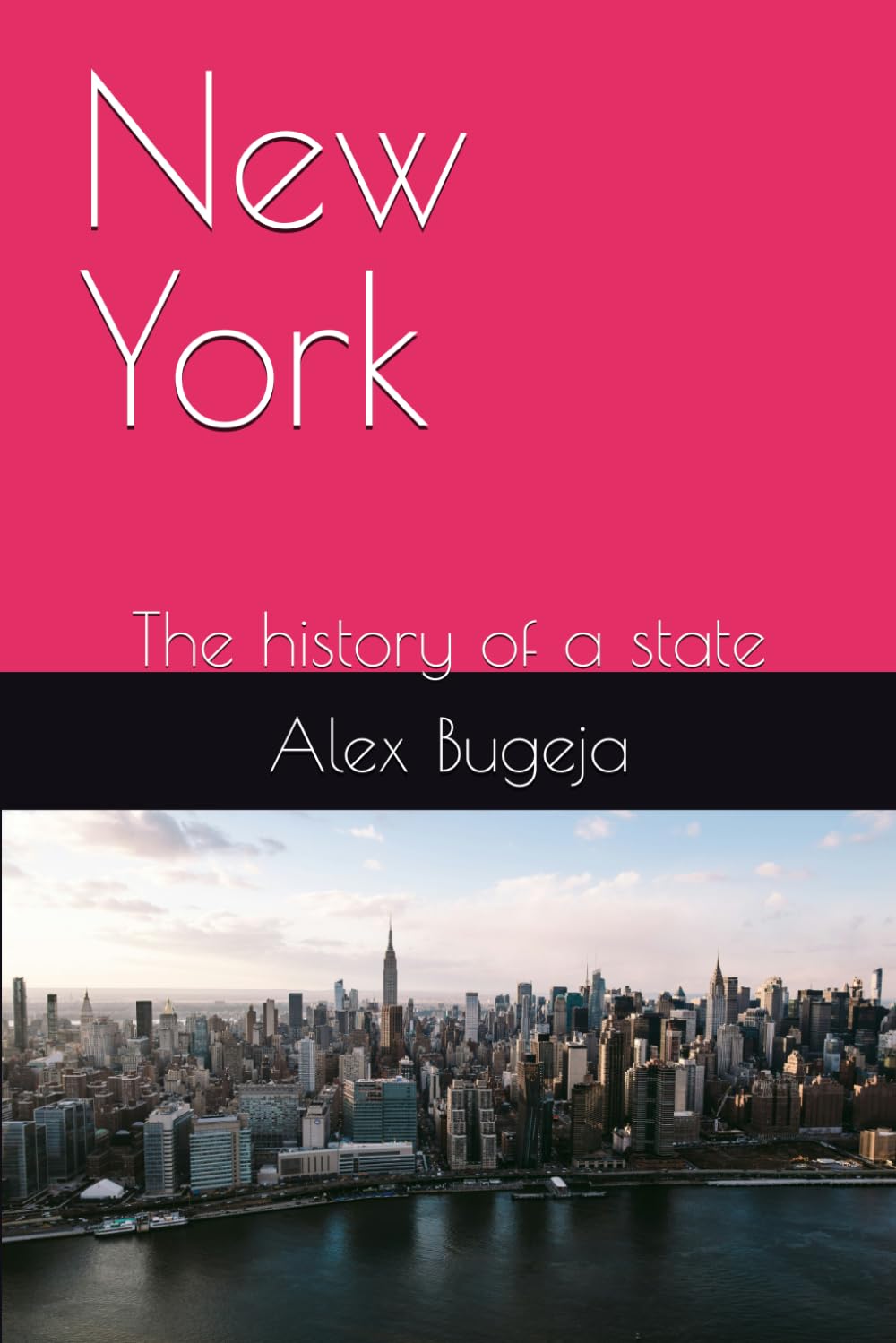 New York: The history of a state (State Histories)