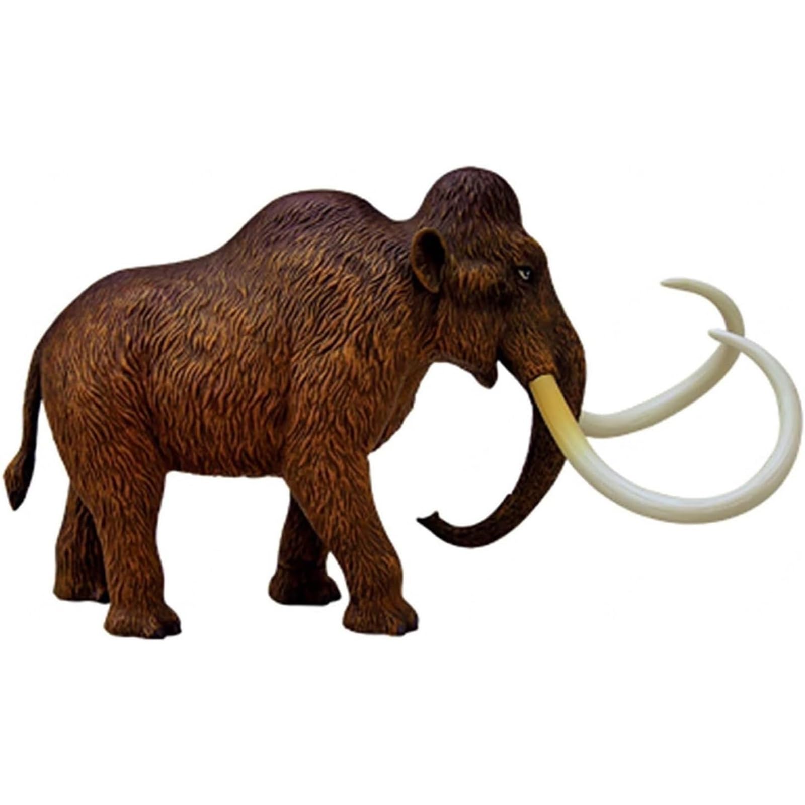 Modelo anatómico de mamut 4D, kit de 30 piezas extraíbles con órganos y partes del cuerpo, for clínica veterinaria, formación veterinaria, demostración docente escolar.