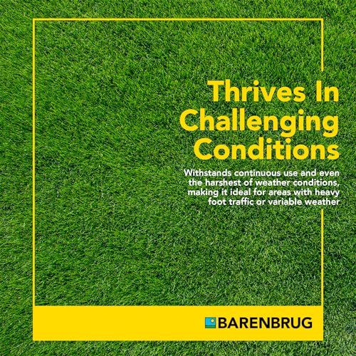 Barenbrug Winter Wonderlawn Grass Seed for Southern Lawns, Fast-Acting Durable Grass Seed Mix for All Weather Conditions, 25-lb. Bag