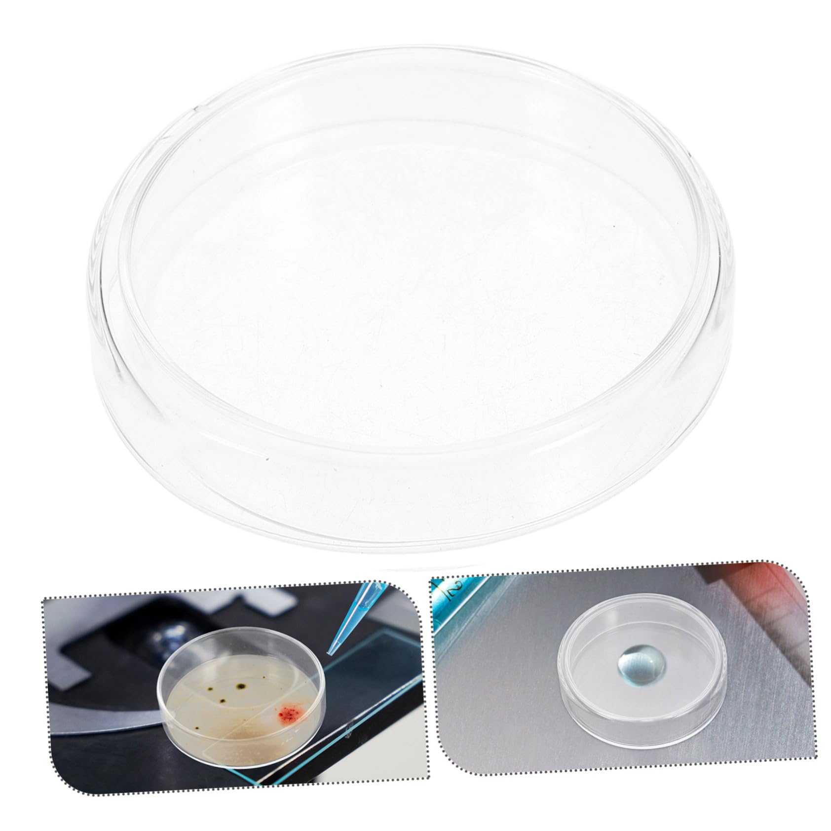 Luxshiny 10stücke Labor Petrischalen aus Glas mit Deckel Sterile für Pilz Kultur Mikrobiologisch Experiment Apparat Zubehör für Wissenschaftliche Projekte