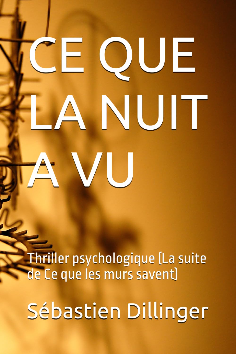 CE QUE LA NUIT A VU: Thriller psychologique (La suite de Ce que les murs savent) (Les Secrets d'Alice)