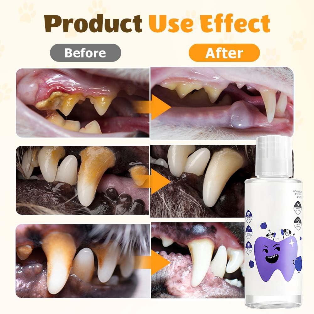 Dental Water Additive, 2025 New Dental Water Additive for Reducing Plaque & Tartar, Breath Freshener Dentals and Gum, Natural, Odorless & Flavorless Formula, Easy Daily Use for All Pet (1pcs, Dog) - image 3