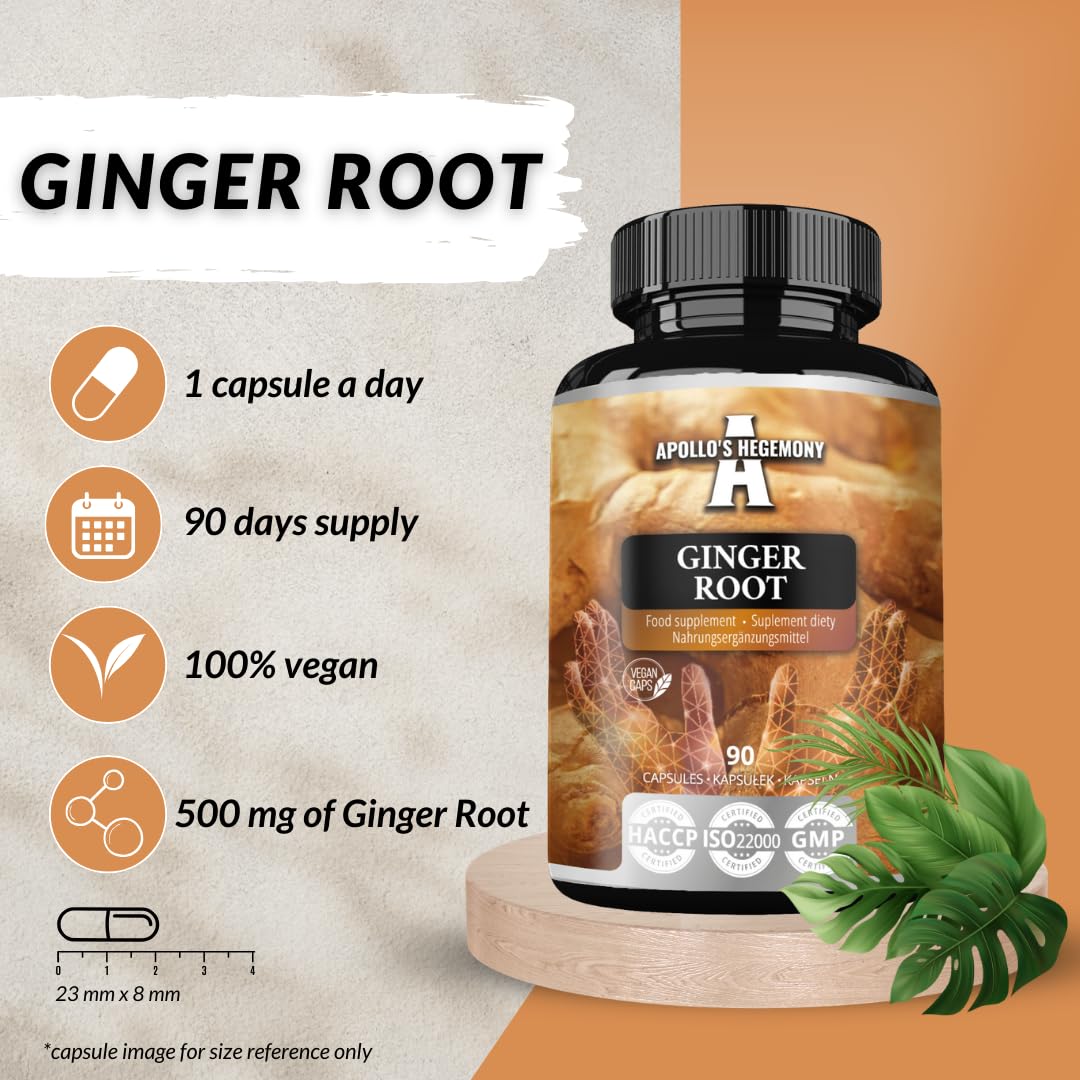 Ginger Root 500 mg, Extract contains 5% Gingerols, 90 Vegan Capsules, 3 Months Supply, Ginger Herbal Supplements for Digestive Comfort and Immune Support - by Apollo's Hegemony