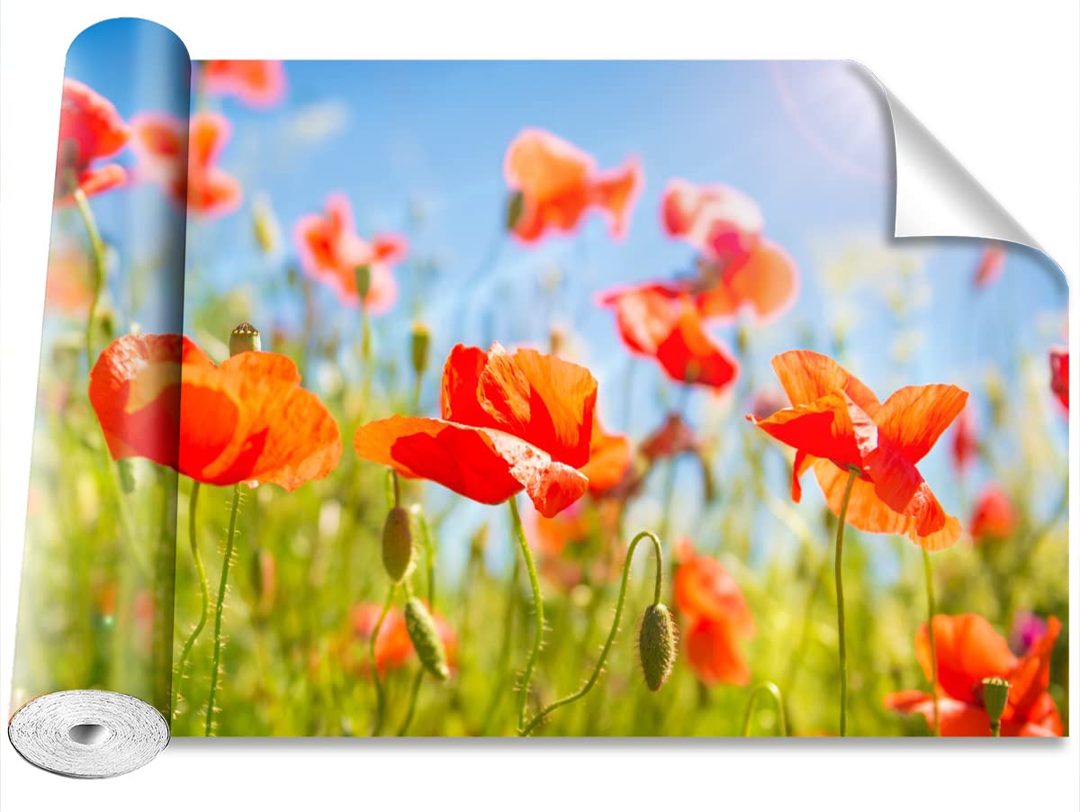 Papier peint coquelicots rouges Tulup Bricolage 416x254cm grand format auto-adhésif pour salon