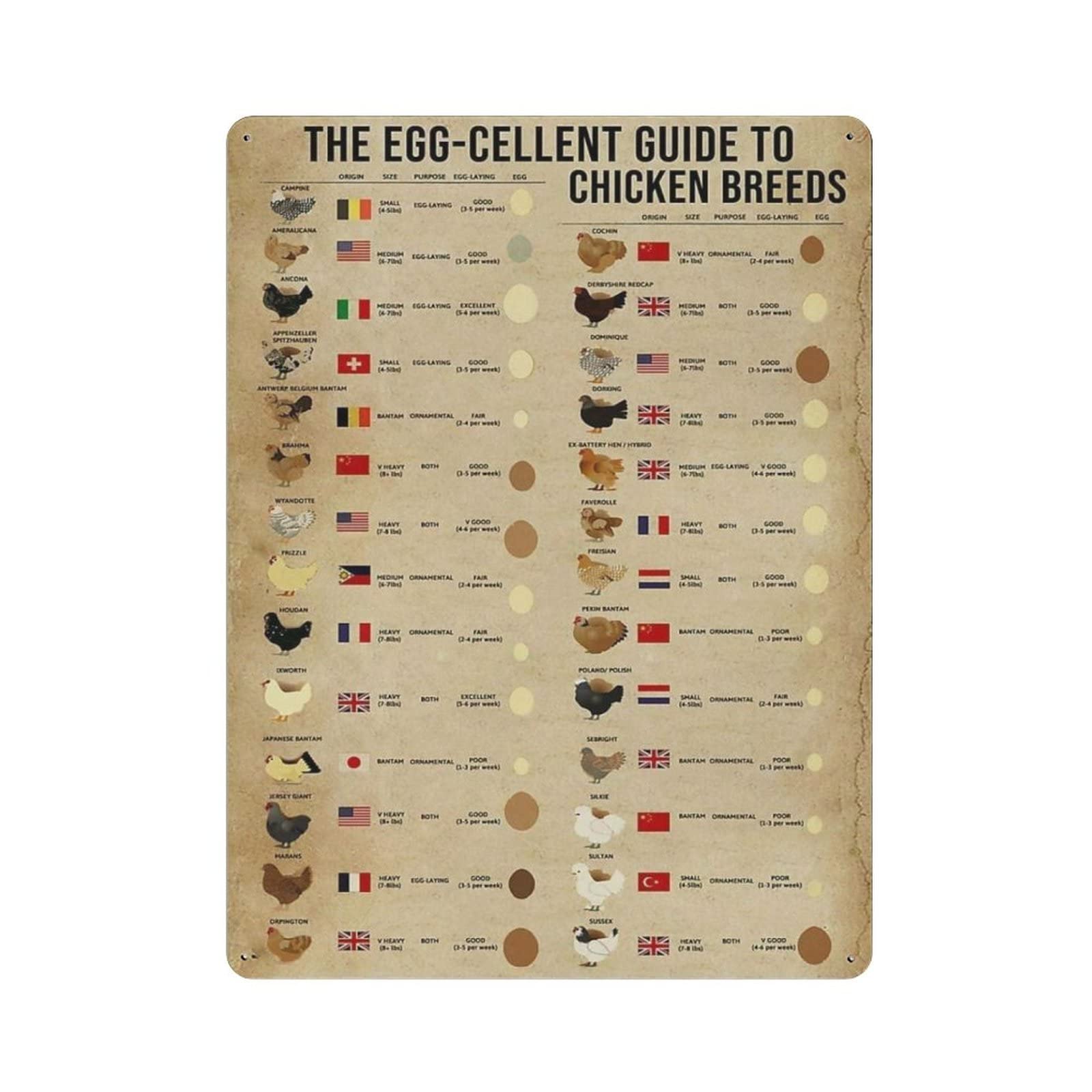 AOOEDM The Egg-Cellent Guide to Chicken Breed Vintage Tin Sign Metal Tin Signs for Man Cave Funny Art Wall Plaque Kitchen Bar Pub Coffee Shop Wall Decor