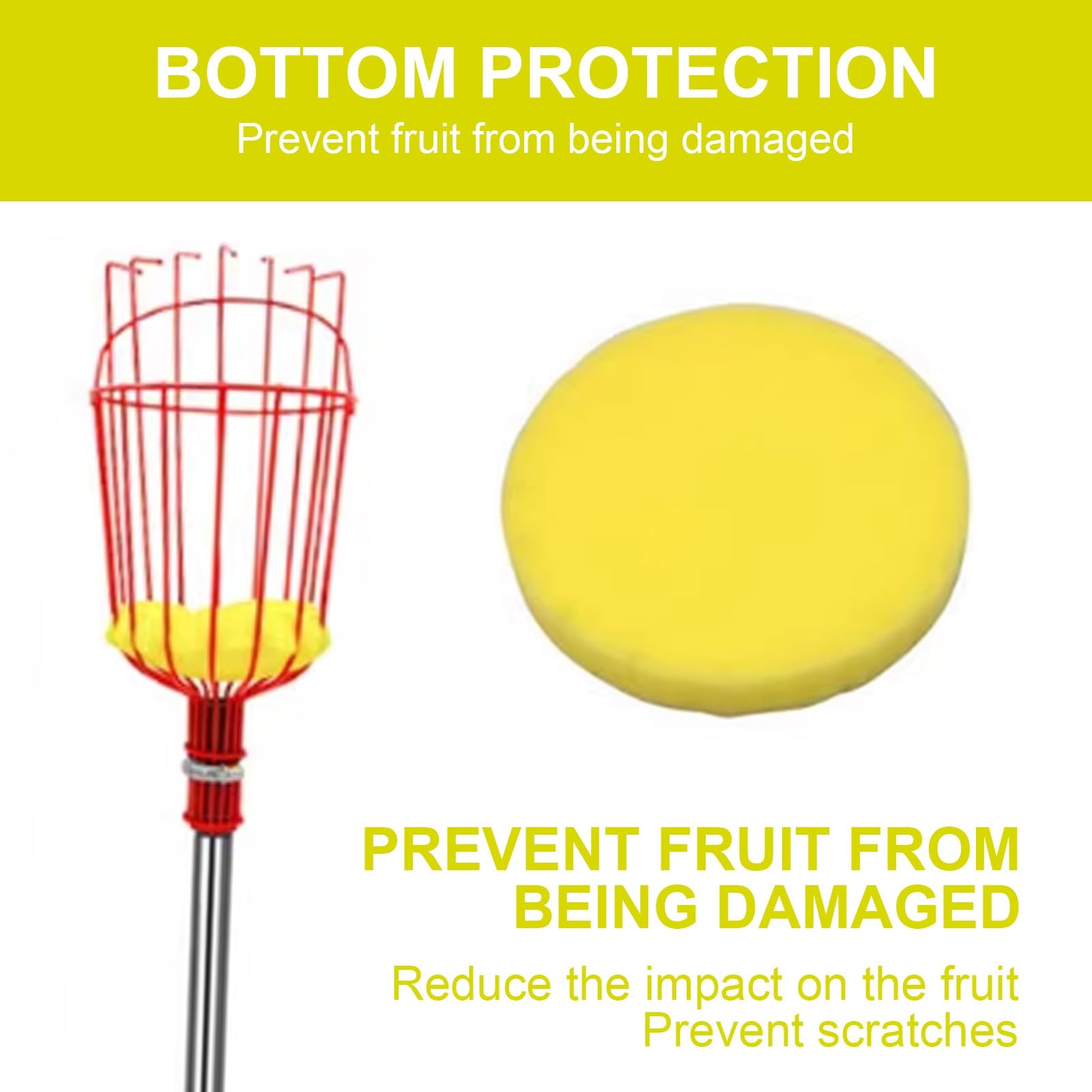 Perche à Fruits, Cueilleur de Fruits télescopique avec Panier, cueilleur figues Manche léger en Acier Inoxydable et Coussinet Protection Mousse(1.2m)