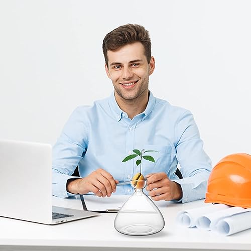 Miniatura 7 de moonoom Jarrón de inicio de semillas de aguacate, jarrón de aguacate para cultivo, kit de cultivo de semillas de aguacate, vidrio para plantas con