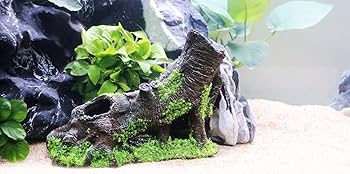 流木　アクアリウム　置物 Amazon.co.jp: [AiO JAPAN] 【1個】Sサイズ 形状お任せタイプ