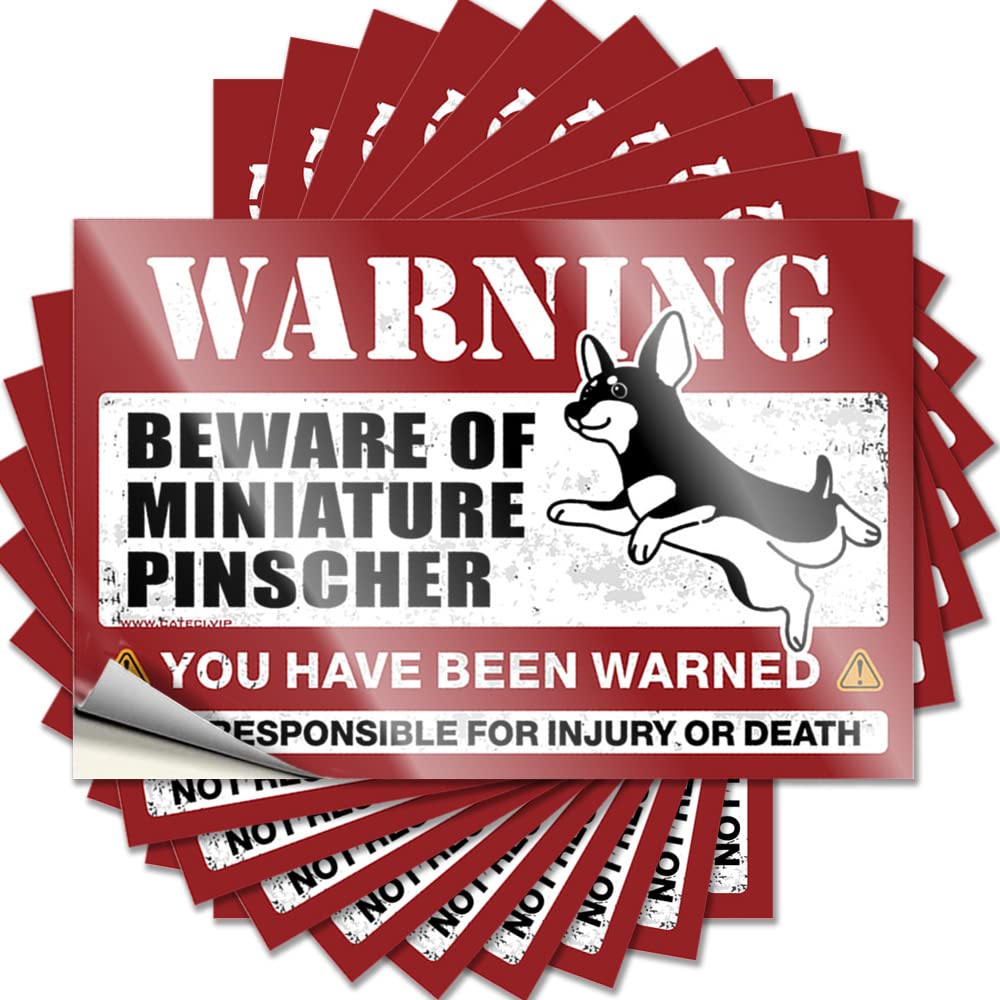 Basement Decor Sticker Window | Beware of Miniature Pinscher Big Checkered Sticker Pack(12X18CM)