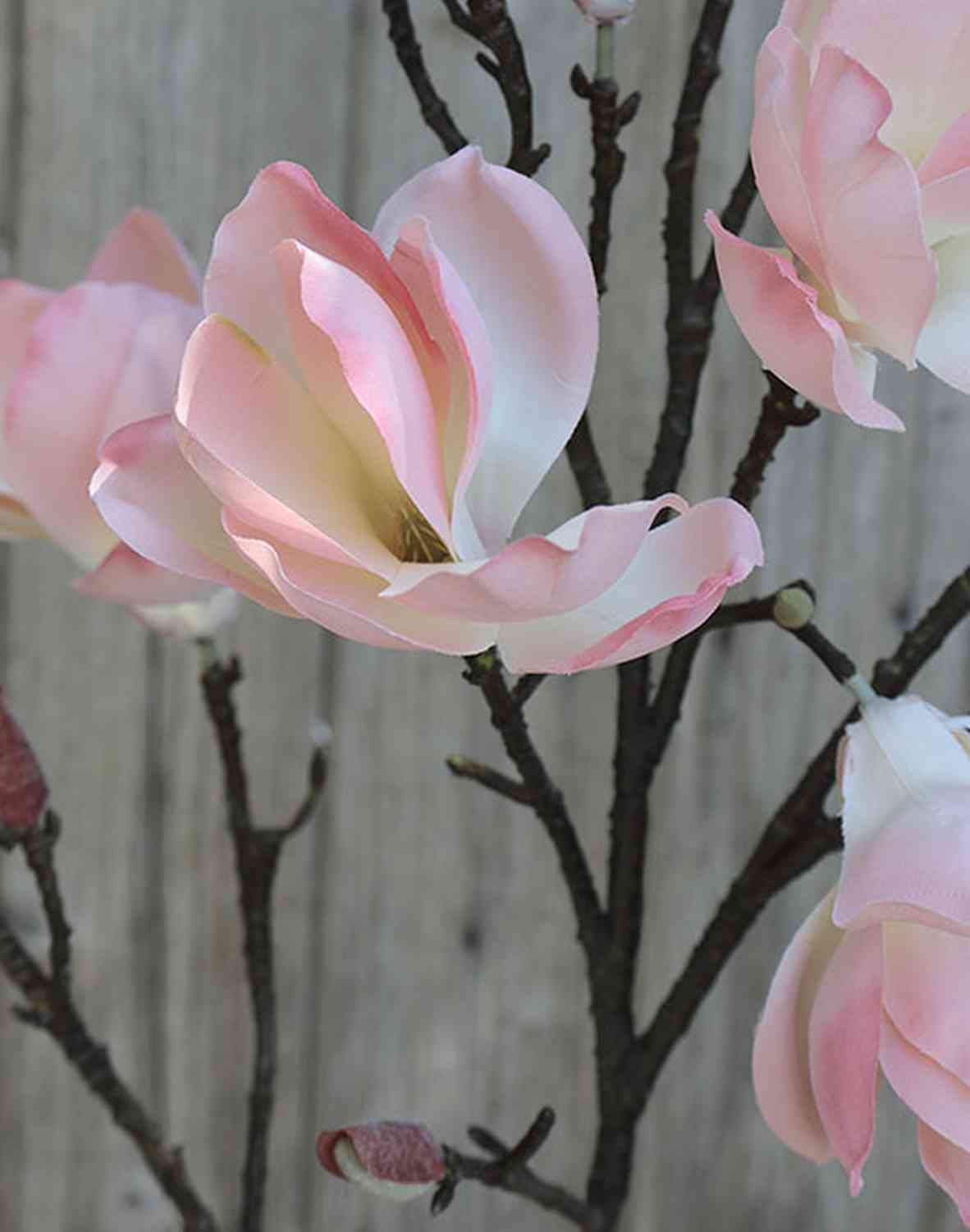 Künstliche Magnolie Kostas – Creme-rosa, Ca. 55 Cm – Seidenblume Auf Stiel, Für Deko Ohne Pflege