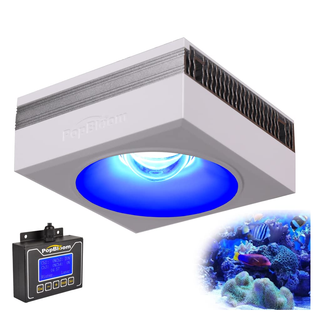 Amazon.com: PopBloom RS90 Aquarium LED Reef Light Program