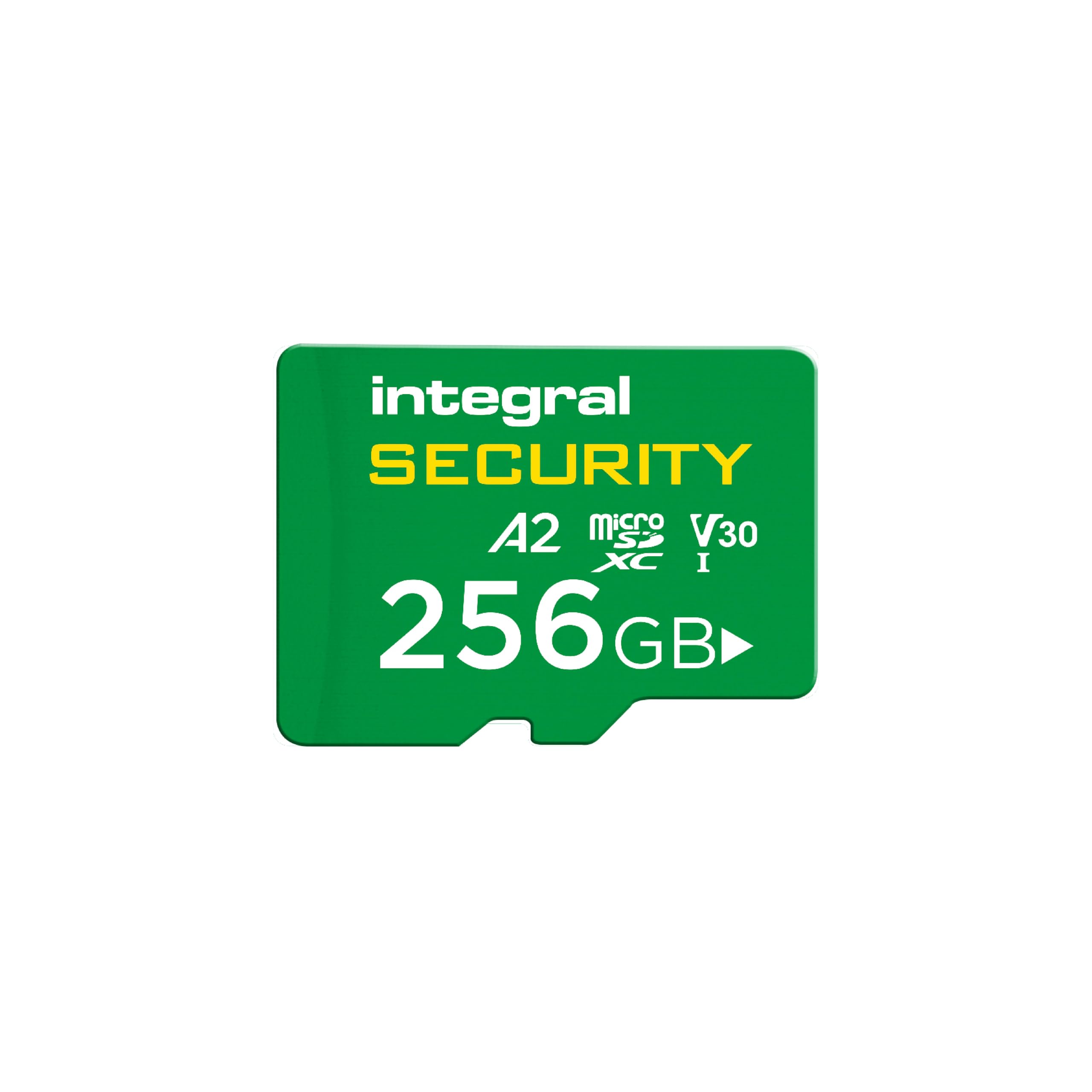 Integral 256GB