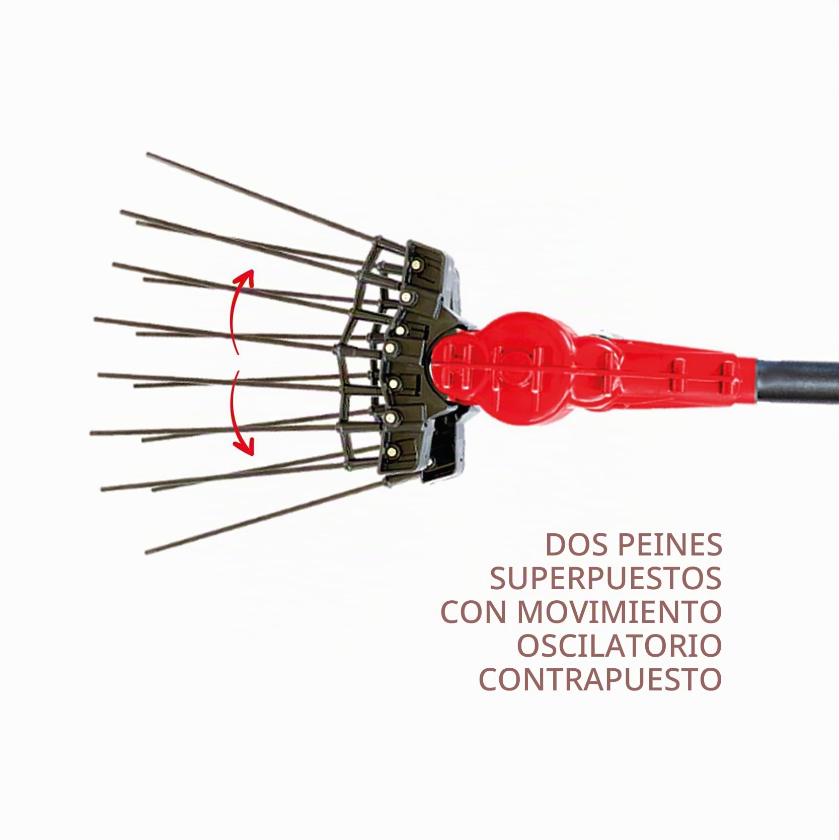 Aima Tandem - Vareador eléctrico para aceitunas, 12 V, 700 W, barra telescópica de 185 – 275 cm, doble peine, con 2 baterías de 21 V y 5,2 Ah incluidas
