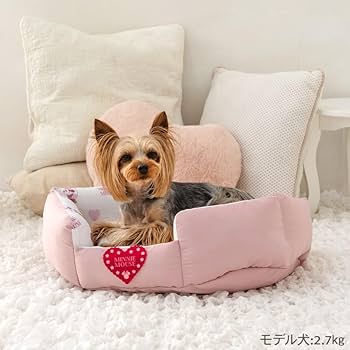 ペットパラダイス　ミニーマウス 赤と白の水玉模様 ペット用ベッド Amazon | ペットパラダイス 犬 ハーネス ディズニー ミニー
