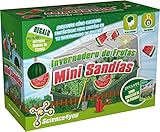 invernadero de frutas tropicales 🎁 Este es el regalo perfecto para los más peques de la casa