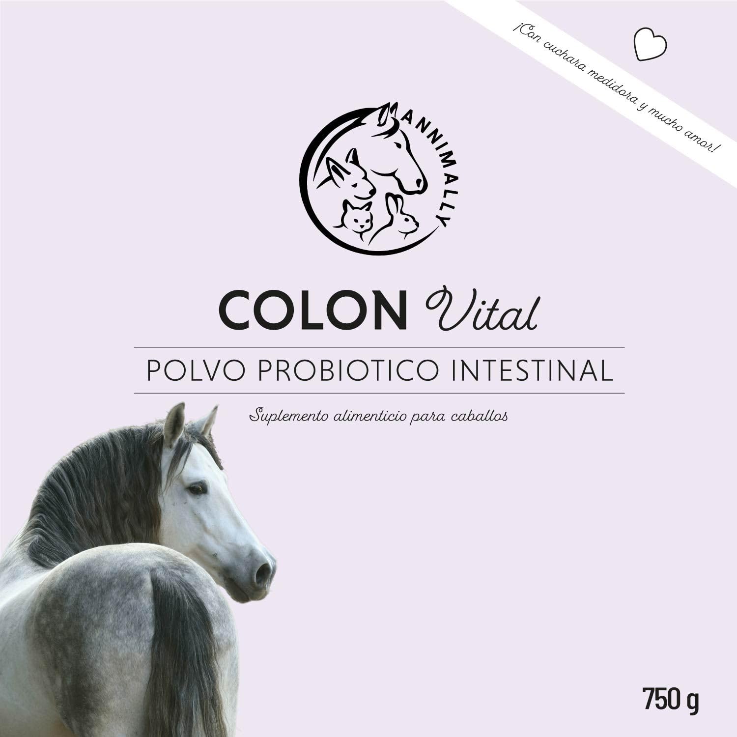 Polvo probiótico para Caballos - 750 g de Polvo intestinal con levadura Viva para una Flora intestinal Saludable - Bacterias intestinales para la rehabilitación intestinal en Caballos