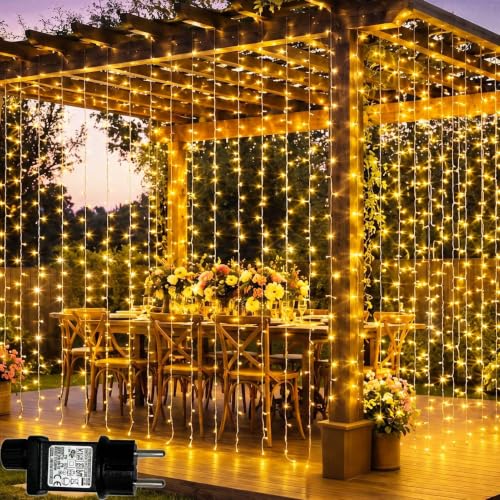 Lichtfam Cortina de Luces 3m x 3m 300 LED Cortina Luces navidad con Enchufe