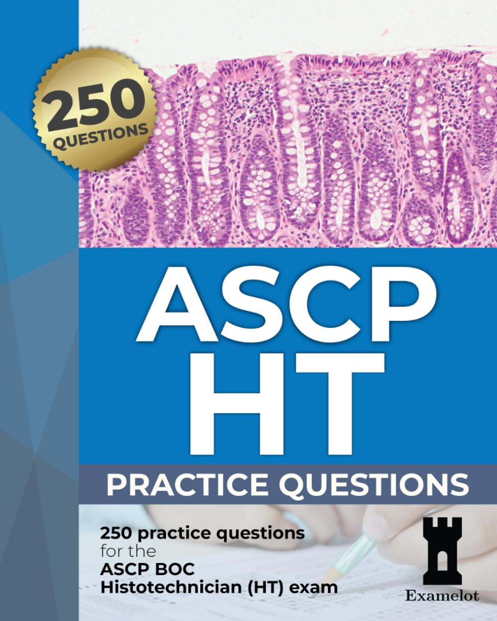 ASCP HT Exam: Practice Questions