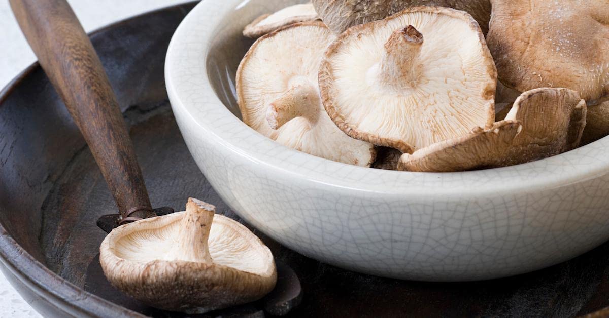 Nourcery Dried Shiitake Mushroom, 50gm (Sawtooth Oak Mushroom) 3