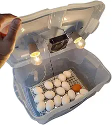 Chocadeira Pet Compacta Com 2 Lâmpadas Cooler Para 30 Ovos De Galinha Ou 90 De Codorna