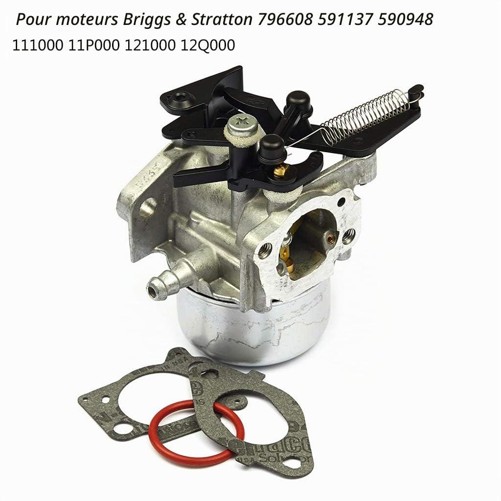 796608 Carburateur Carb pour Briggs Stratton 591137 590948 Moteurs 111000