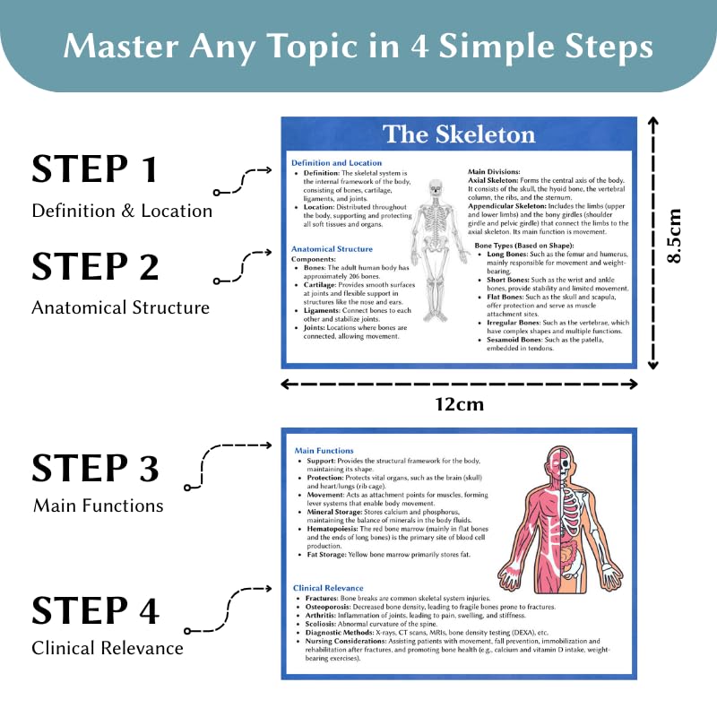 Anatomy and Physiology Flashcards - Double-Sided