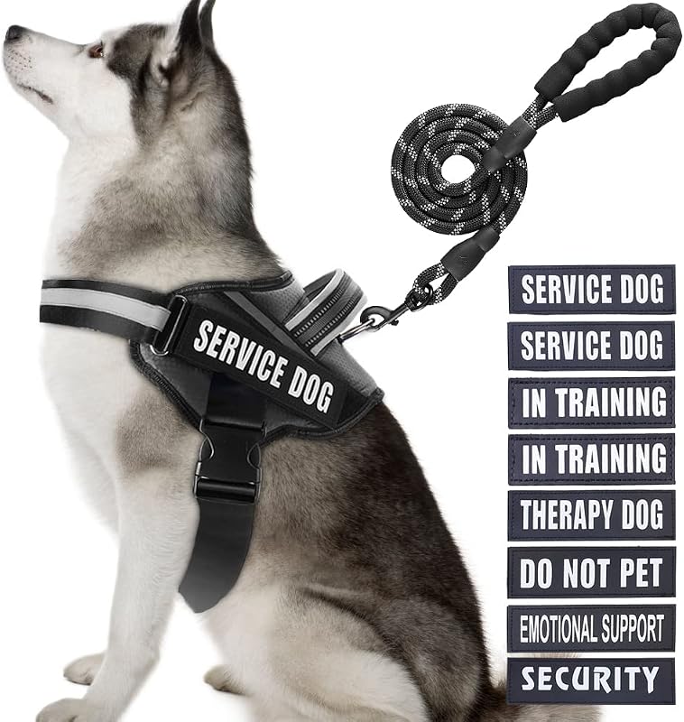 Peitoral Vest para Cães em Treinamento Animire com Guia Refletiva e 10 Adesivos, Preto, XL