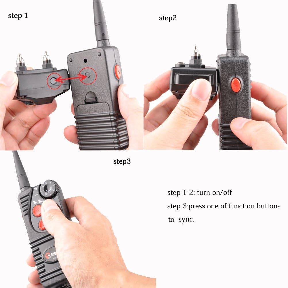 dog master training collars
