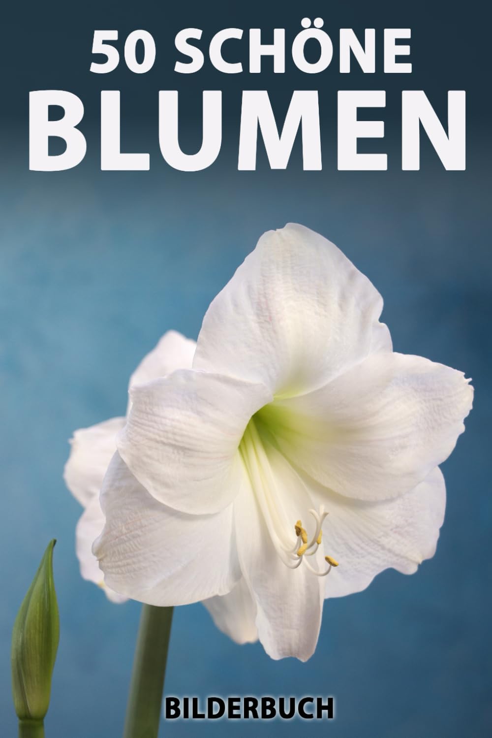 50 schöne Blumen: Bilderbuch für Senioren mit Demenz (Großschrift) (Sanfte Beschäftigung)