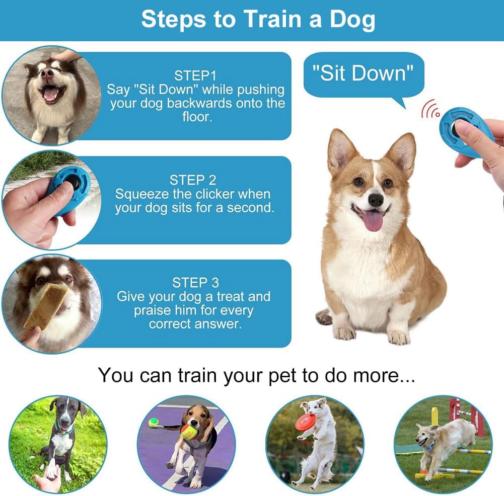 Set de clickers multicolores pour différents utilisateurs