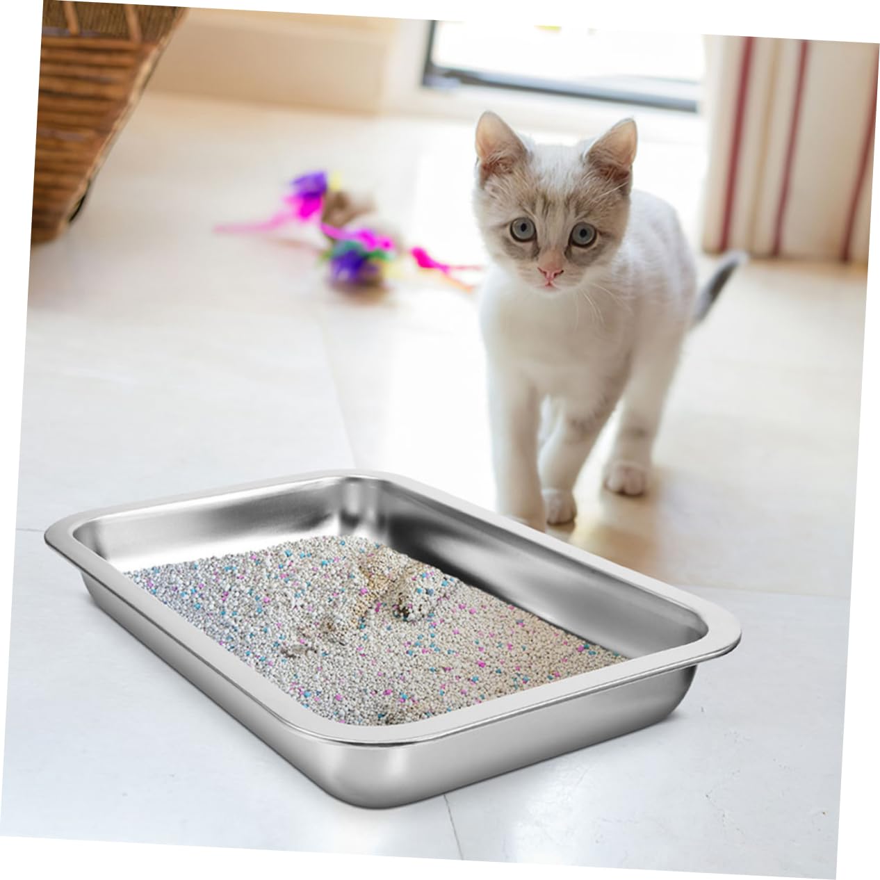 Milisten 2Pezzi Lettiera per Inossidabile da Design per Gattini Facile da e Antiruggine per Animali