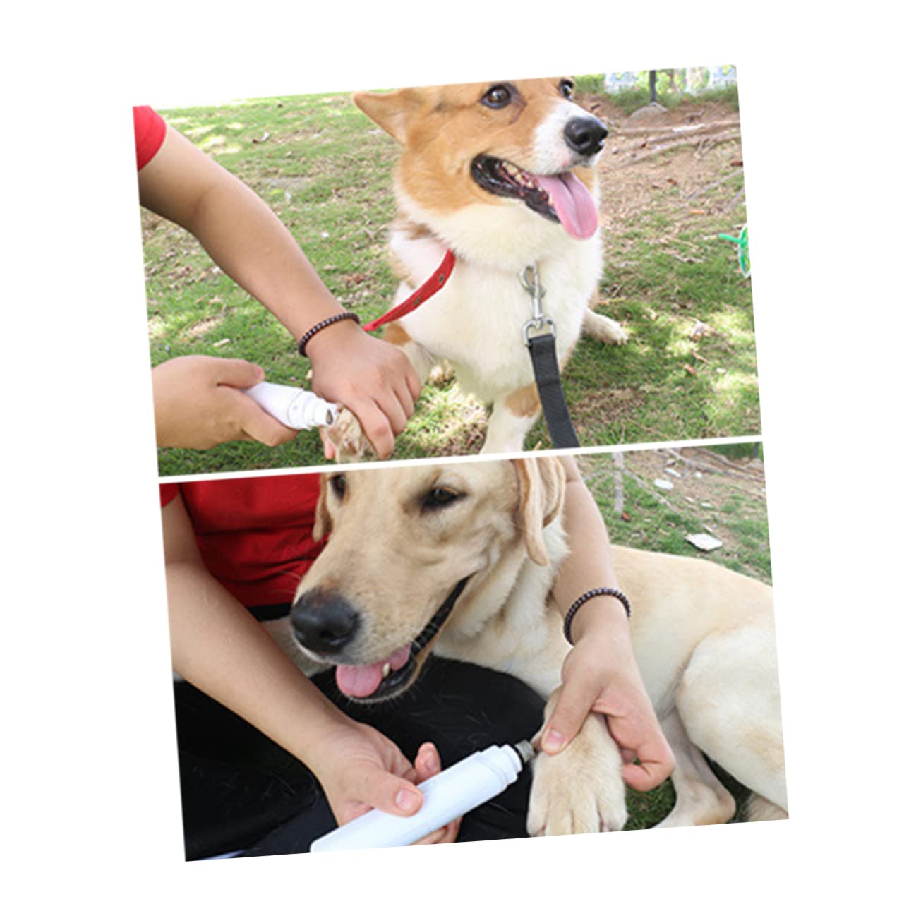 YARNOW 2 Pz tagliaunghie per Gatti Animale Domestico Elettrico per Cani unghia per Animali Domestici unghia per Cani tagliaunghie per Cani tagliaunghie per Animali Domestici Bianca