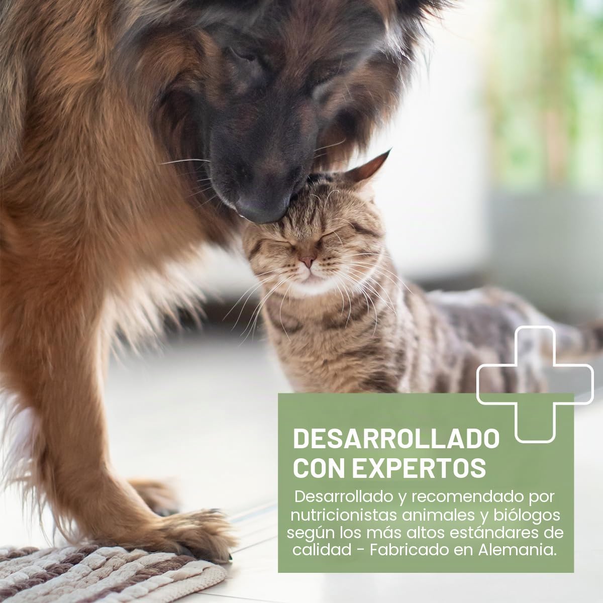 ReaVET Polvo de calostro para perros y gatos 100g - Estimulación inmune con alto contenido de inmunoglobulinas, fortalece el sistema inmunológico, el estómago y los intestinos