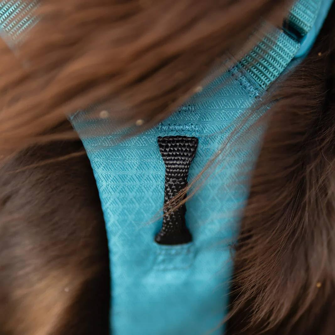 Non-Stop Dogwear Ramble Geschirr lang, Blaugrün (L)